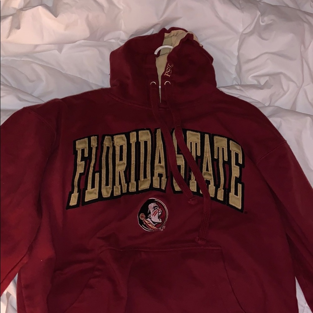 FSU HOODIE (comfy)